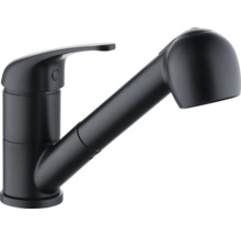 Köksblandare med utdragbar dusch