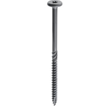 Enkel skruv med Torx-drivning