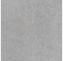 Grå golvplatta av porslinsstengods