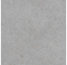 Grå golvplatta i stengods