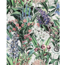 Tapet med blommönster och botaniska illustrationer