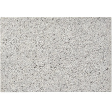 Granitplatta med spräcklig yta