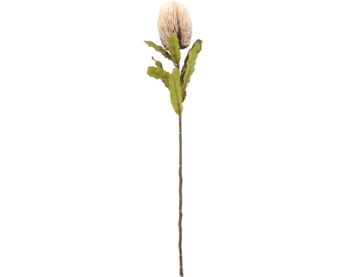 Konstgjord Banksia blomma med blad och stjälk