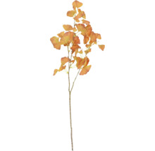 Ginkgogren för dekoration