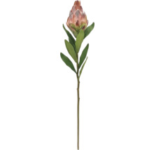 Konstgjord proteablomma med grön stjälk och blad