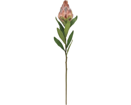 Konstgjord proteablomma med grön stjälk och blad