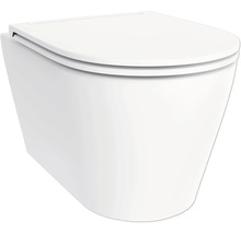 Vägghängd toalett med lock