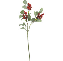 Dekorativ gren med blad och bär för dekoration