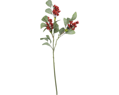 Dekorativ gren med blad och bär för dekoration