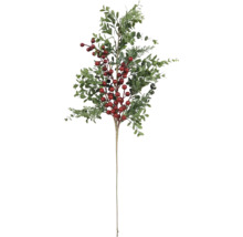 Dekorativ gren med blad och bär för festliga dekorationer