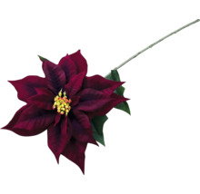 Dekorativ röd julstjärneblomma med stjälk och gröna blad.