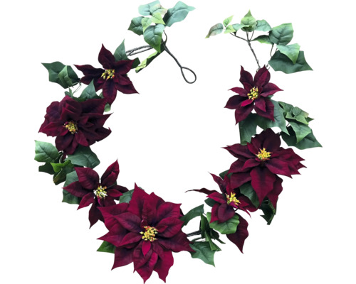 Julstjärnekrans med gröna blad