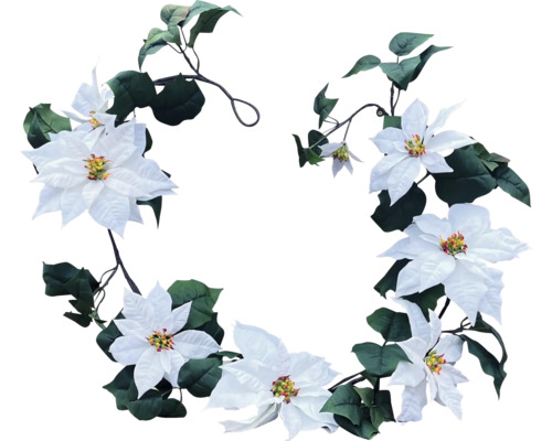 Girlang LAFIORA Poinsetta 2m vit Dekorativ krans med vita julstjärnor och gröna blad