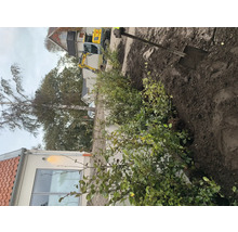 Scen av trädgårdsanläggning med en nyplanterad häck, en grävmaskin och en spade