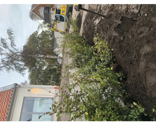 Scen av trädgårdsanläggning med en nyplanterad häck, en grävmaskin och en spade