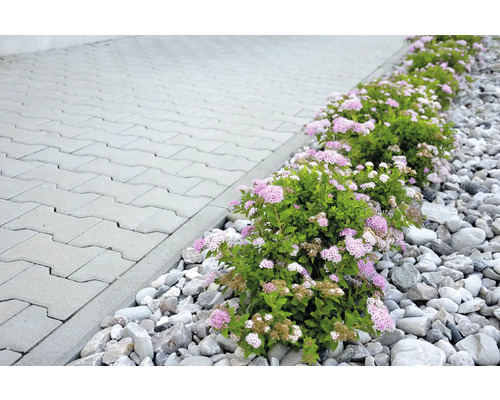 Stenplattor med blommor och grus