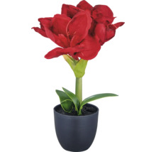 Konstgjord amaryllis i kruka