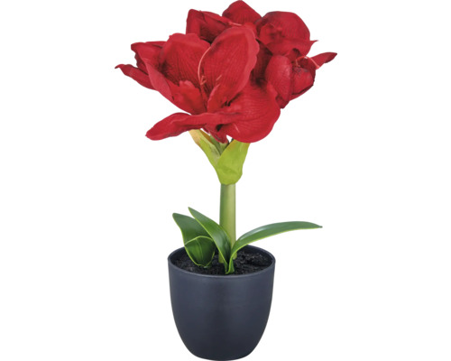Konstgjord amaryllis i kruka