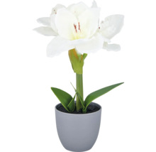 Konstgjord amaryllis i kruka