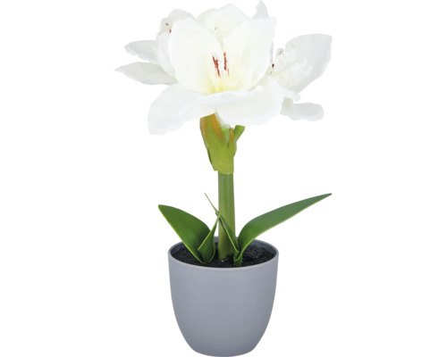 Konstgjord amaryllis i kruka