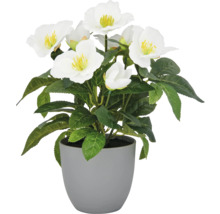 Konstgjord julros i kruka som dekoration