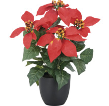 Konstgjord julstjärna i kruka