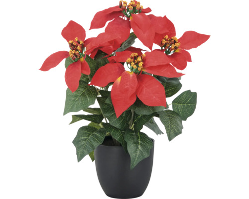Konstväxt Pionsetta i kruka 33cm röd Konstgjord julstjärna i kruka