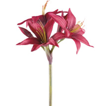 Konstgjord amaryllis med flera blommor och stjälk