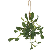 Hängande mistel med blad och bär