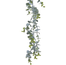 Eukalyptusgirlang med runda blad, dekoration
