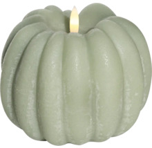 Dekorativt pumpaljus med LED-ljus