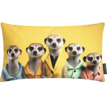 Dekorativ kudde med surikatmotiv