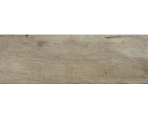 Trästruktur av en träplanka