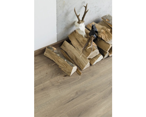 Staplat trä bredvid laminatgolv med horn och djurskalledekoration