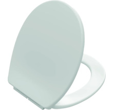 Toalettsits av plast