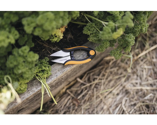 Fiskars örtsax bredvid färsk persilja på en träplanka