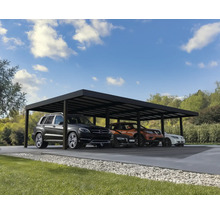 4 bilars carport CANOPIA by Palram Oslo 6x12m svart