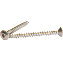 Två Torx-skruvar av metall