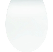 Toalettsits av plast