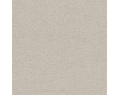 Tapet RASCH Enfärgad brun 0,53x10,05m