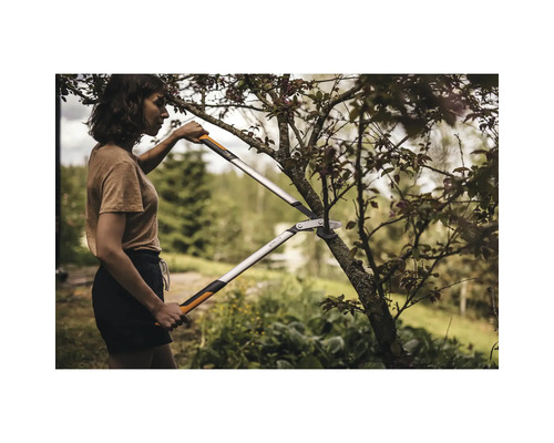 Kvinna beskär träd med en växelgrensåg