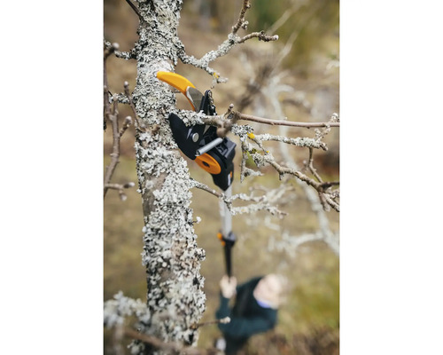 Grensåg i aktion vid beskärning av ett träd