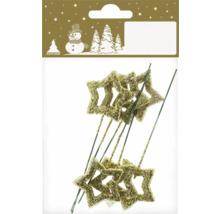 Dekorativa stjärnor på pinne i förpackningen