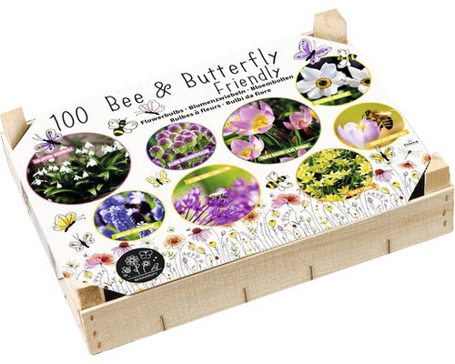 Blomsterlökar Big Box BIO blandade blommor 100st