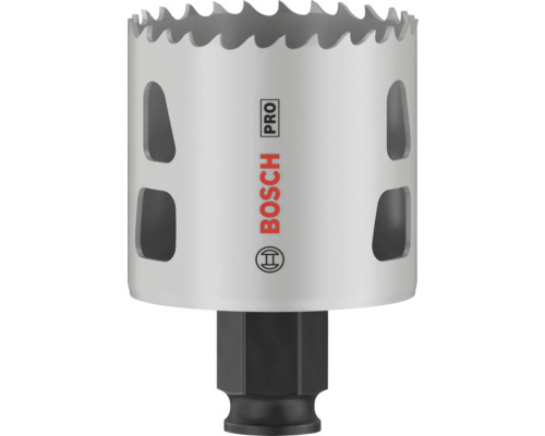 Bosch Pro hålsåg
