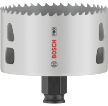 Bosch Pro hålsåg