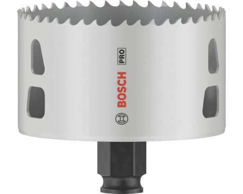 Bosch Pro hålsåg