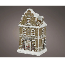 Pepparkakshusdekoration med belysning