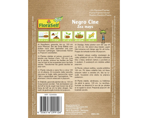 Fröpaket Negro Cine Zea mays