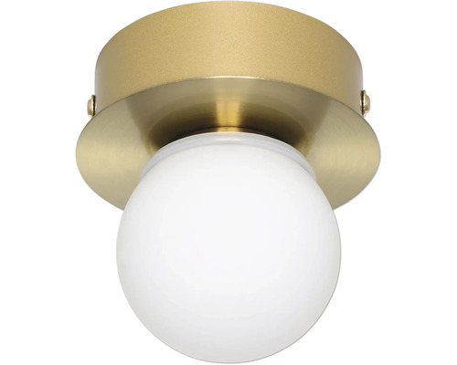 Taklampa EGLO mässing LED Taklampa med rund, vit glaskupa och fäste